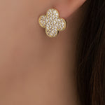 Crystal Alaina Steffy Earrings